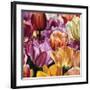 Glow-Cristall Harper-Framed Art Print