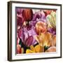 Glow-Cristall Harper-Framed Art Print