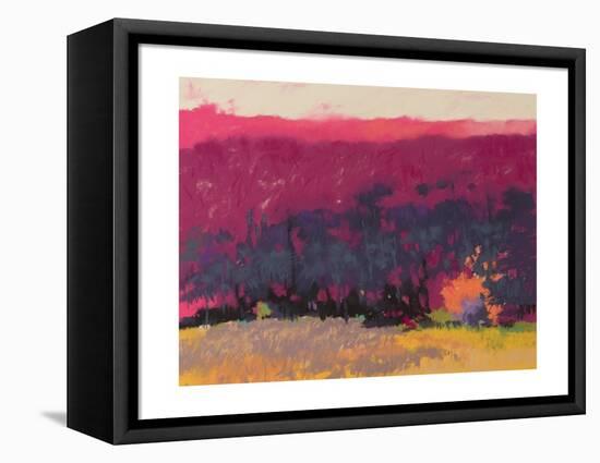 Glow-Mike Kelly-Framed Stretched Canvas
