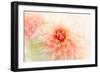 Glow-Jacky Parker-Framed Giclee Print