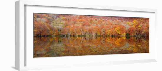 Glowing Autumn-Sho Shibata-Framed Photographic Print