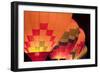 Glowing Balloons I-Kathy Mahan-Framed Photographic Print