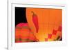 Glowing Balloons II-Kathy Mahan-Framed Photographic Print