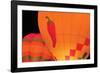 Glowing Balloons II-Kathy Mahan-Framed Photographic Print