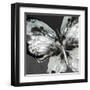 Glowing Butterfly-Eva Watts-Framed Art Print