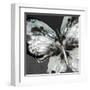 Glowing Butterfly-Eva Watts-Framed Art Print