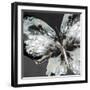 Glowing Butterfly-Eva Watts-Framed Art Print