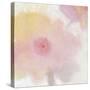 Glowing Floral I-Tim OToole-Stretched Canvas