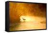 Glowing Mist-Dan Ballard-Framed Stretched Canvas