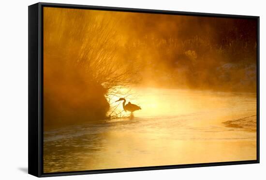 Glowing Mist-Dan Ballard-Framed Stretched Canvas