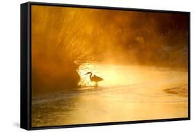 Glowing Mist-Dan Ballard-Framed Stretched Canvas