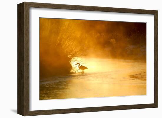 Glowing Mist-Dan Ballard-Framed Photographic Print