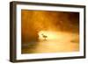 Glowing Mist-Dan Ballard-Framed Photographic Print