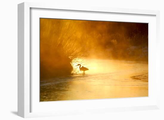 Glowing Mist-Dan Ballard-Framed Photographic Print