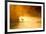 Glowing Mist-Dan Ballard-Framed Photographic Print