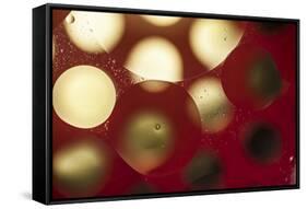 Glowing Moons-Carrie Webster-Framed Stretched Canvas