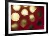 Glowing Moons-Carrie Webster-Framed Photographic Print