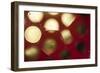 Glowing Moons-Carrie Webster-Framed Photographic Print