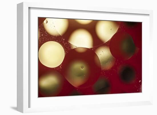 Glowing Moons-Carrie Webster-Framed Photographic Print