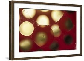 Glowing Moons-Carrie Webster-Framed Photographic Print