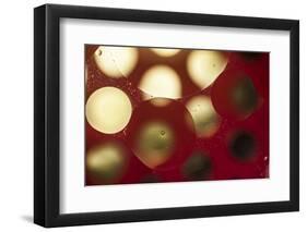 Glowing Moons-Carrie Webster-Framed Photographic Print