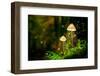 Glowing Mushroom Lamps with Fireflies in Magical Forest-Shaiith-Framed Photographic Print