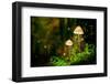 Glowing Mushroom Lamps with Fireflies in Magical Forest-Shaiith-Framed Photographic Print