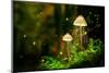 Glowing Mushroom Lamps with Fireflies in Magical Forest-Shaiith-Mounted Photographic Print