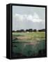 Glowing Pasture I-Grace Popp-Framed Stretched Canvas