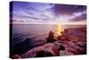 Glowing Rocks of Cabo Rojo, Puerto Rico-George Oze-Stretched Canvas