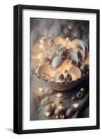 Glowing Sea Shells-Treechild-Framed Giclee Print