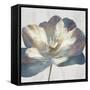 Glowing Soul-Eva Watts-Framed Stretched Canvas