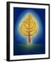 Glowing Tree, 1996-Peter Davidson-Framed Giclee Print