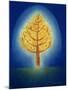 Glowing Tree, 1996-Peter Davidson-Mounted Giclee Print