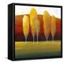 Glowing Trees II-Tim O'toole-Framed Stretched Canvas