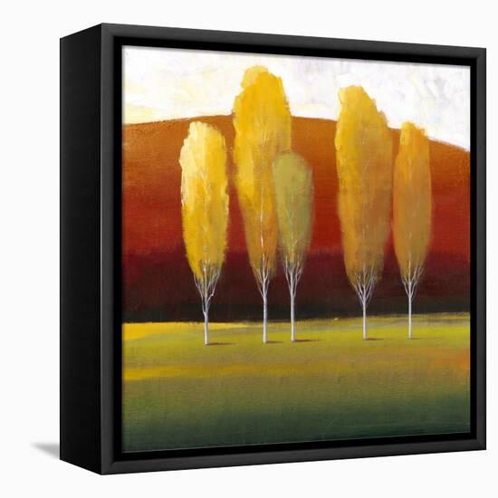 Glowing Trees II-Tim O'toole-Framed Stretched Canvas