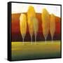 Glowing Trees II-Tim O'toole-Framed Stretched Canvas