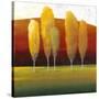 Glowing Trees II-Tim O'toole-Stretched Canvas