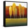 Glowing Trees II-Tim O'toole-Framed Stretched Canvas