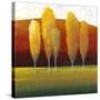 Glowing Trees II-Tim O'toole-Stretched Canvas