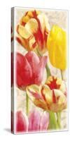 Glowing Tulips I-Janel Pahl-Stretched Canvas