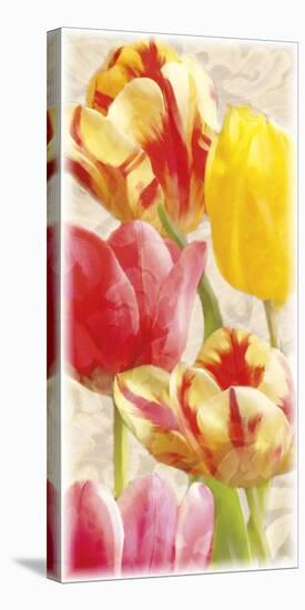 Glowing Tulips I-Janel Pahl-Stretched Canvas