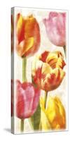 Glowing Tulips II-Janel Pahl-Stretched Canvas