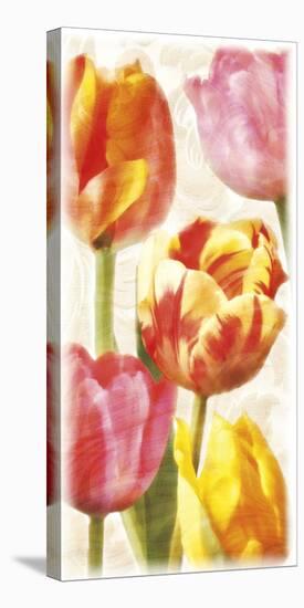 Glowing Tulips II-Janel Pahl-Stretched Canvas