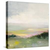 Glowing Valley-Julia Purinton-Stretched Canvas