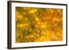 Glowing Waters-Brenda Petrella Photography LLC-Framed Giclee Print