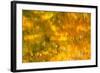 Glowing Waters-Brenda Petrella Photography LLC-Framed Giclee Print