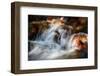 Glowing-Ursula Abresch-Framed Photographic Print