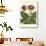 Gloxinia Garden III-Van Houtt-Framed Art Print displayed on a wall