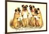Glückwunsch Geburtstag, Vier Singende Hunde-null-Framed Giclee Print